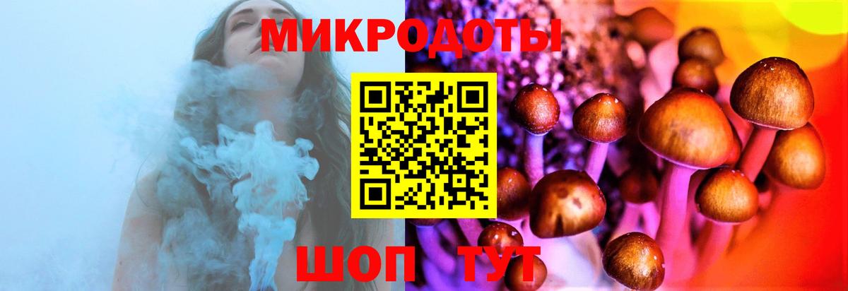 Королёв  где найти наркотики  Вход с VPN  Псилоцибиновые грибы Magic Shrooms 