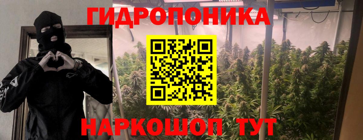 МАРИХУАНА семена Королёв